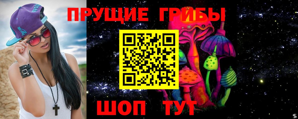 Реж  Галлюциногенные грибы Psilocybe  даркнет сайт  Вход с VPN 